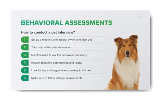 Pet-Friendly Rentals 101: A Comprehensive Guide for Landlords